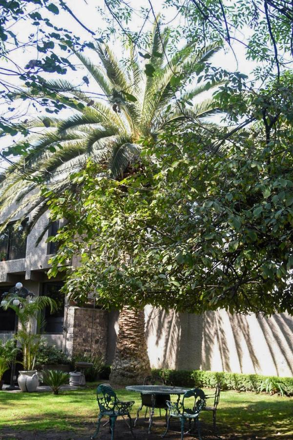 Casa Lulu Coyoacan Alvaro Obregon Eksteriør billede